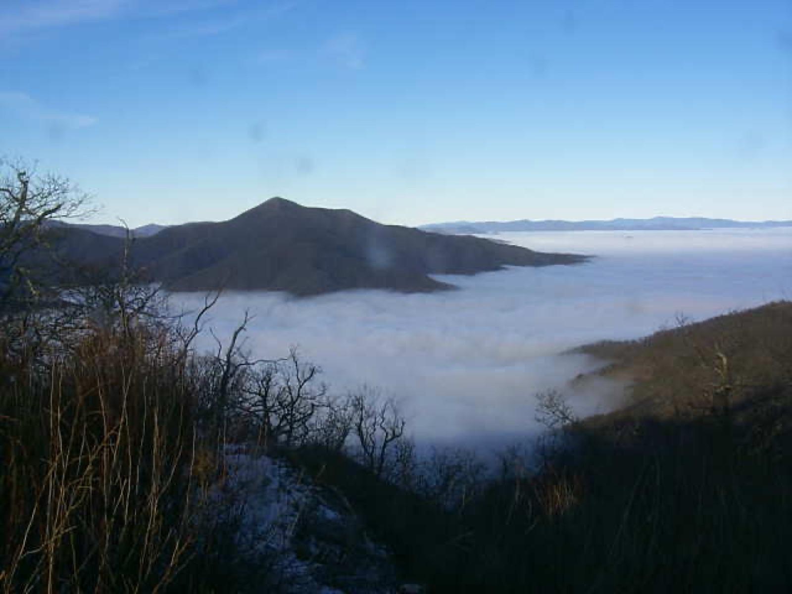 Mountain view in the Unaka Ranger District of the Cherokee National Forest, Tennessee