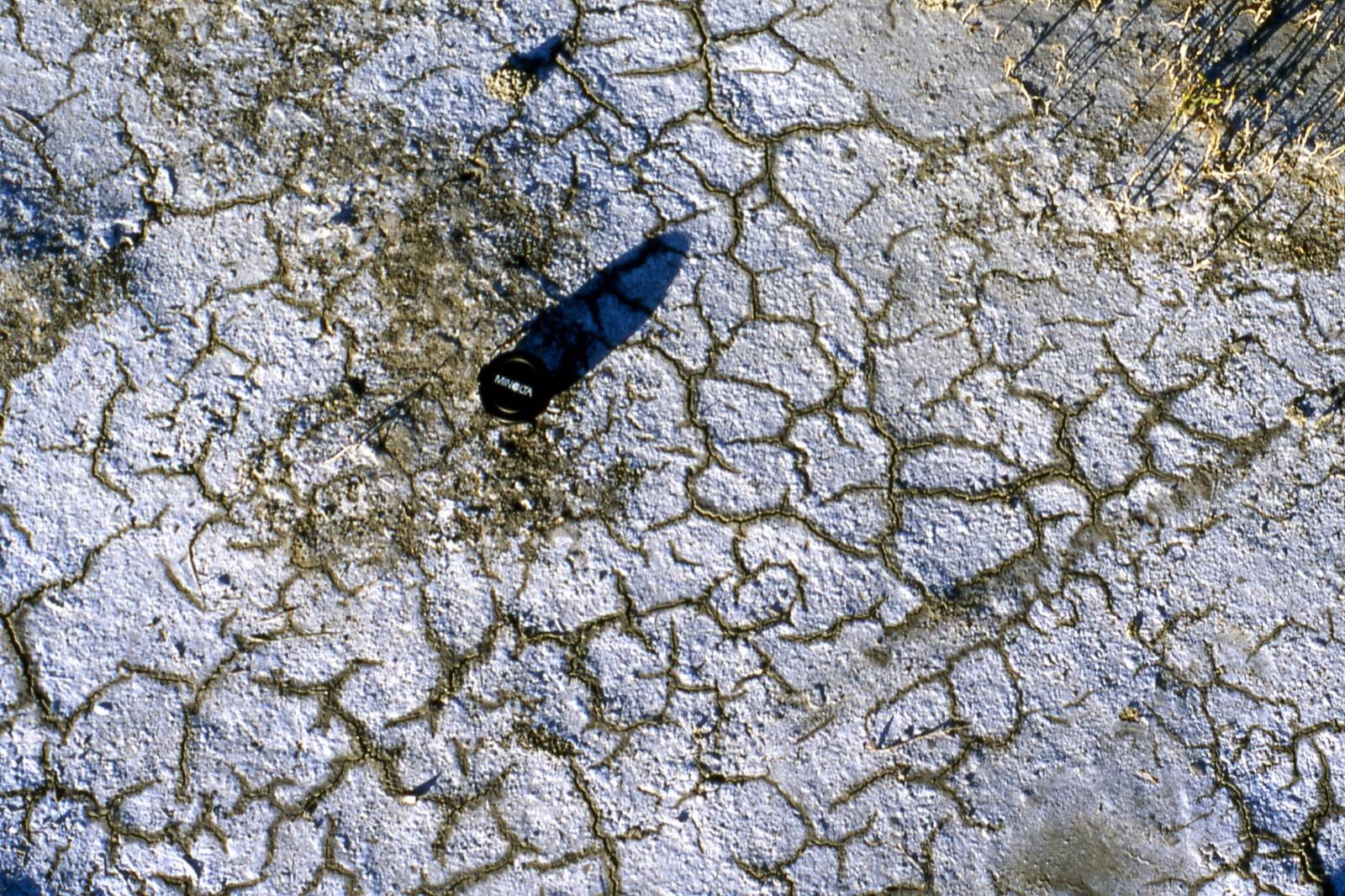 Hypersaline lacustrine mudcracks with a halite salt crust at Great Salt Lake, Tooele County, Utah