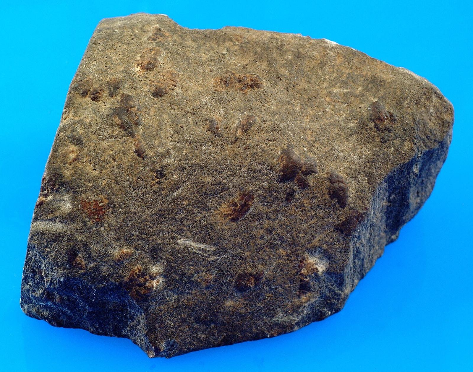 Representative specimen of staurolite crystals in mica schist, like the fairy stones near Stuart