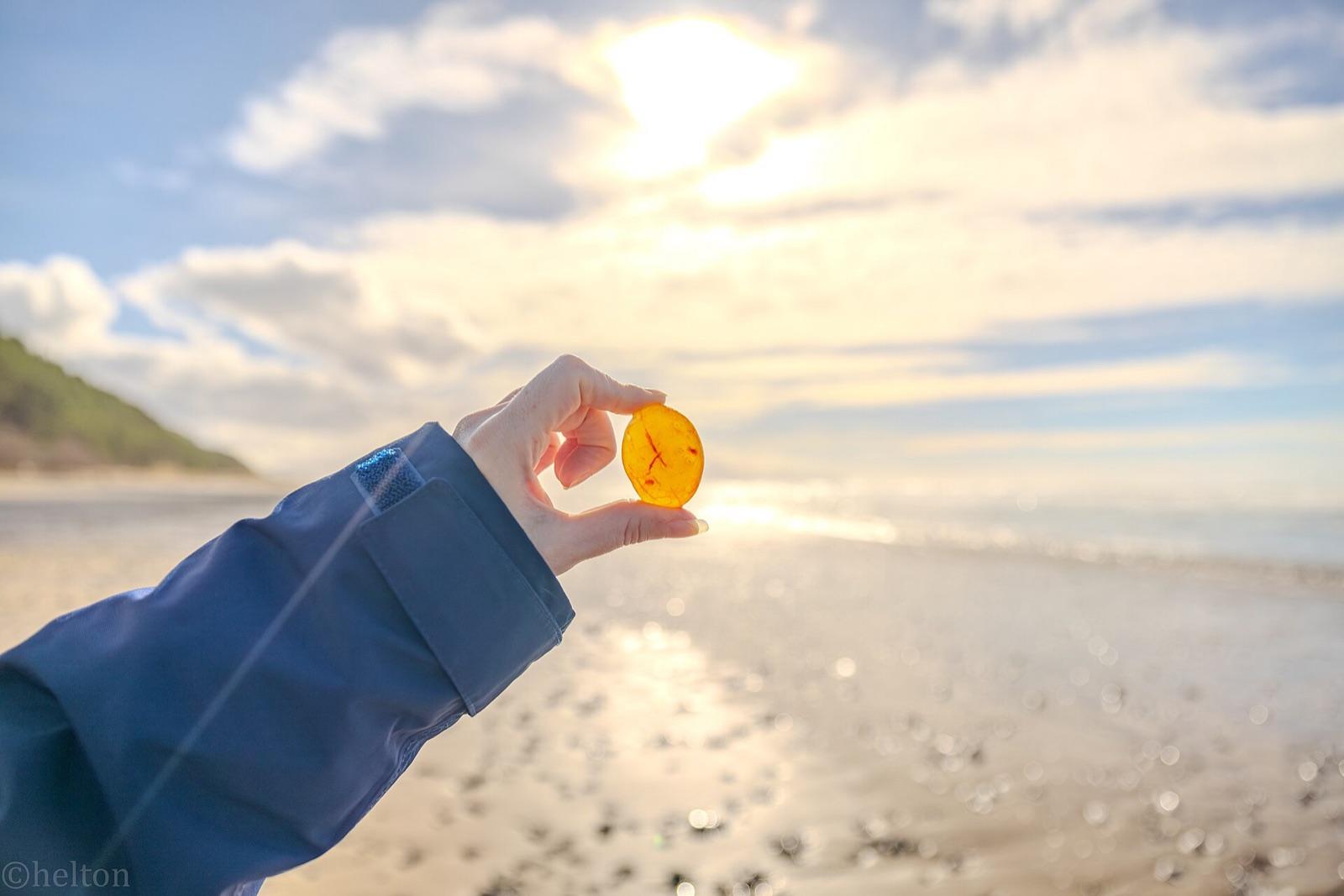 A translucent beach agate held to the light, like those found along the Strait of Juan de Fuca