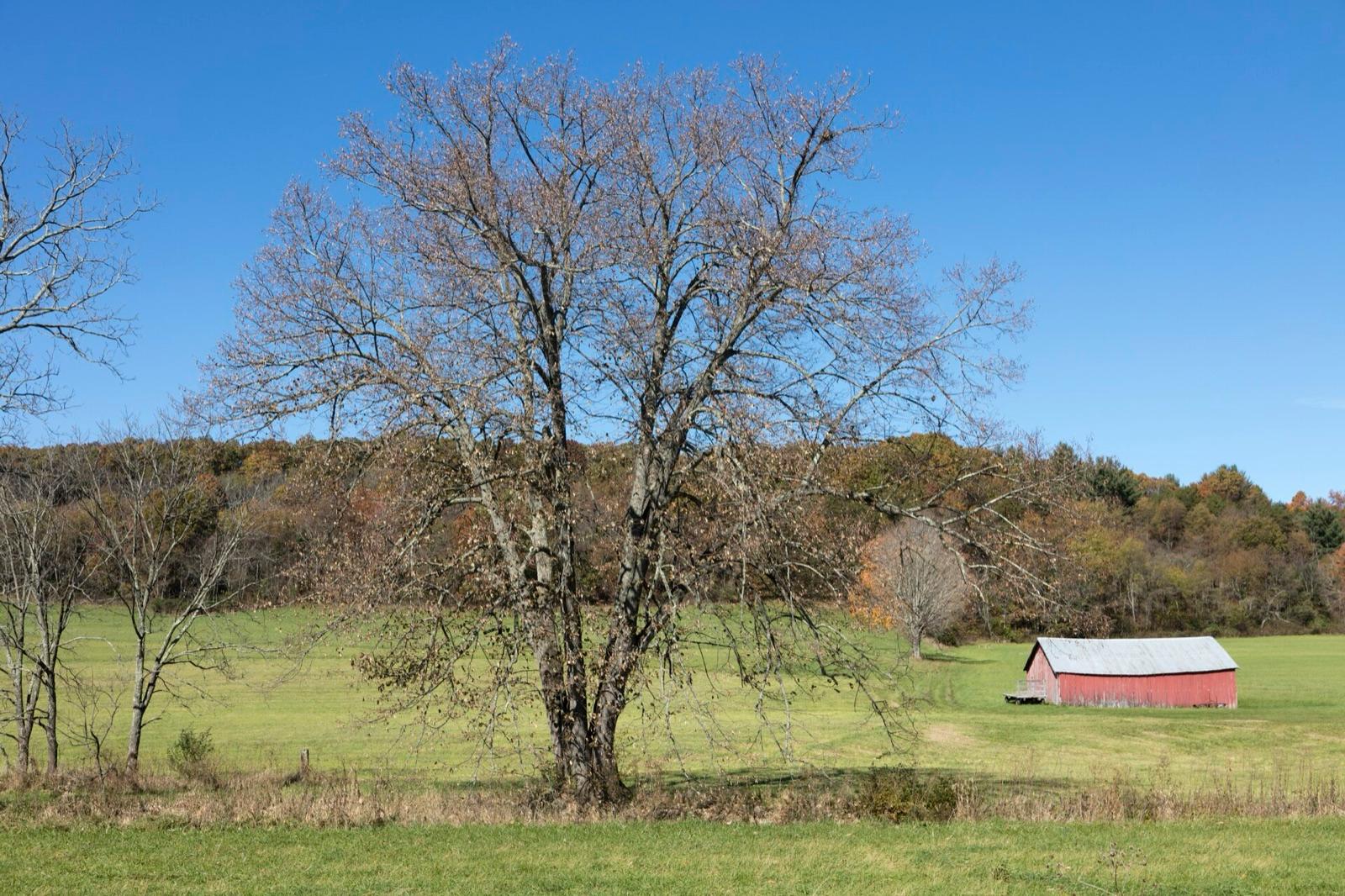 A rural farm scene in Monroe County, West Virginia, near Moss Mountain.