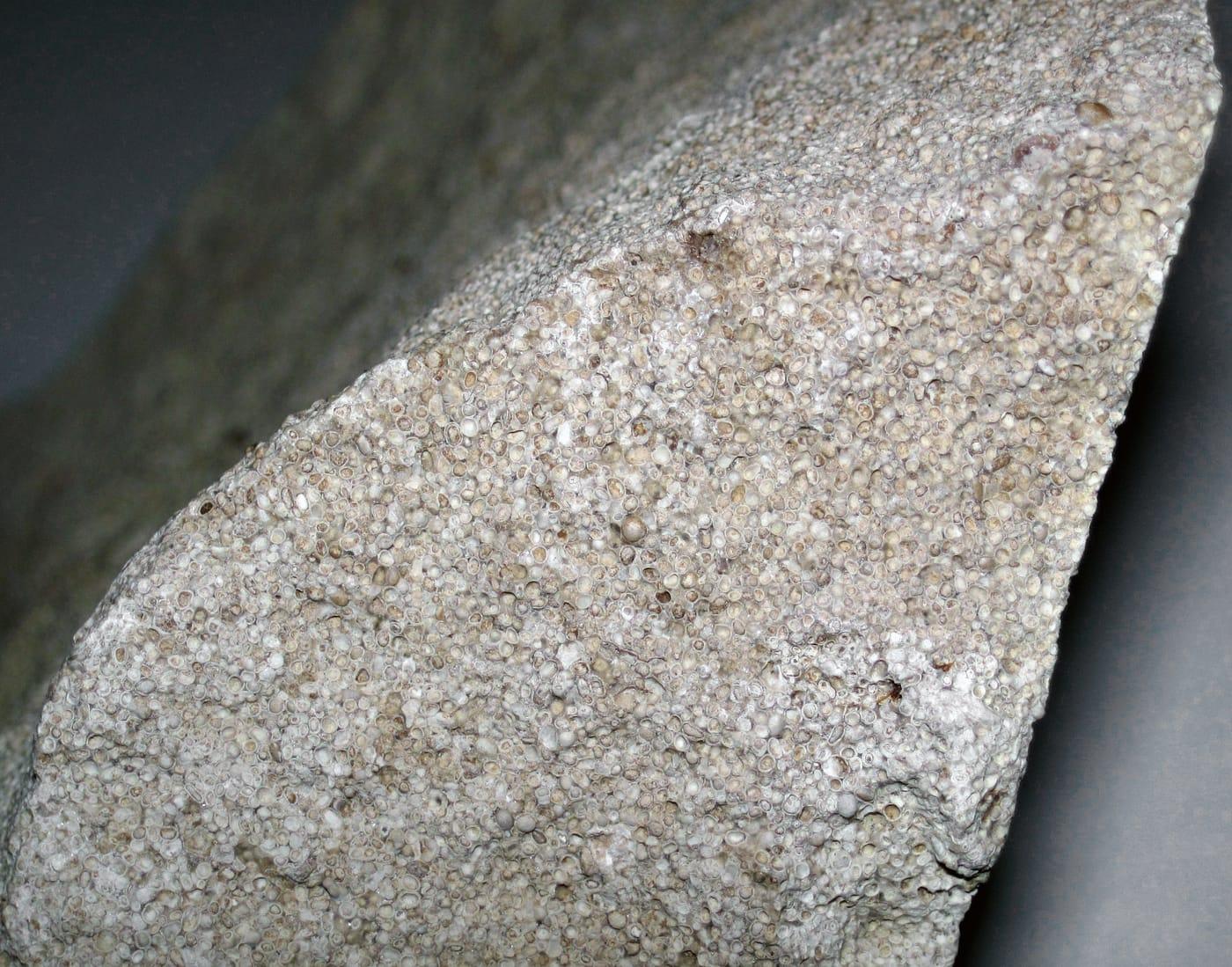 Lacustrine oolitic limestone (Green River Formation, Eocene; near Tipton, Wyoming, USA) 4 at Sweetwater River, Fremont County, Wyoming