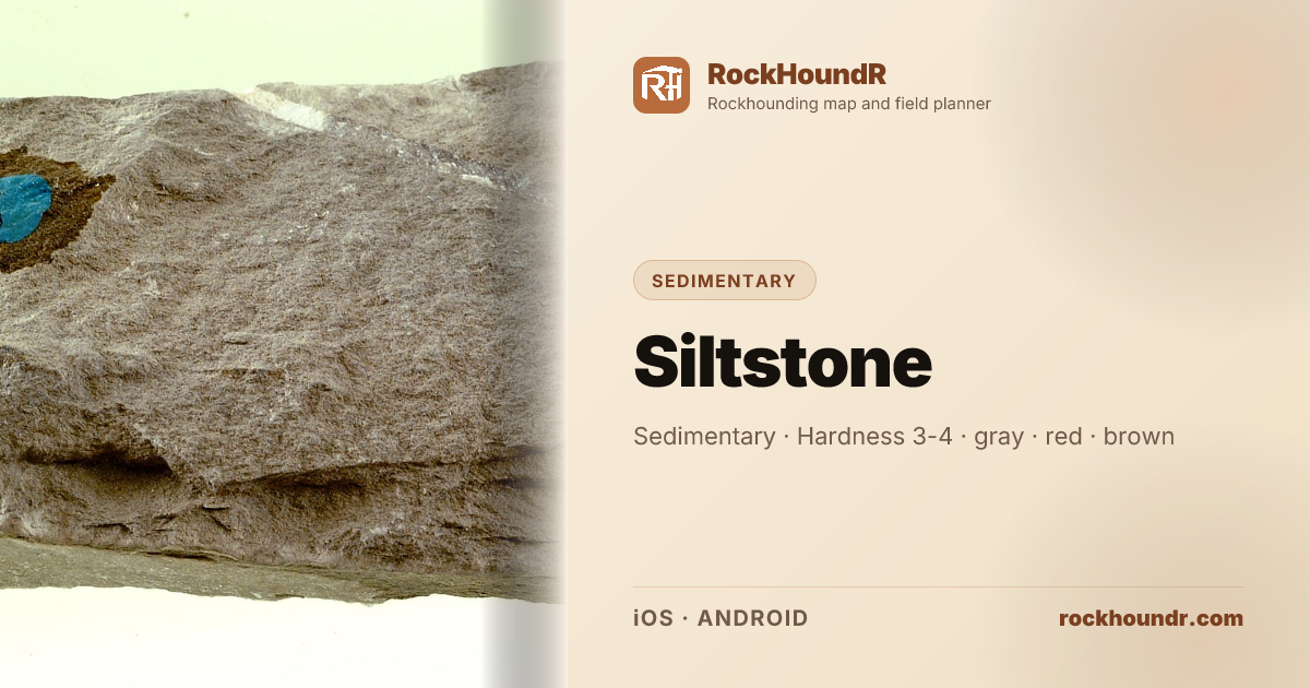Siltstone Sedimentary: Properties, ID Guide & Where to Find | RockHoundR